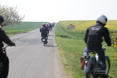 Taxat-Senat 13/04/2019