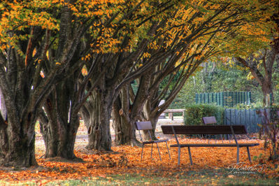 Saint-Pourçain sur Sioule
